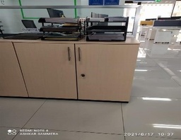 [#D30-51] 2 Door Cabinet (81x47cm)