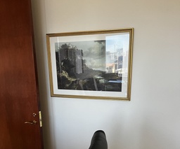 [#J2-22] Artwork in Gold Coloured Frame