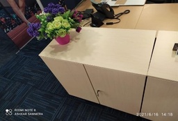 [#D30-114] 2 Door Cabinet (with lock)