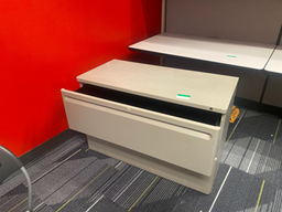 [#D6-13] Beige 2-Drawer File Cabinet