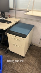 [#D16-58] Pedestal, with blue cushion top