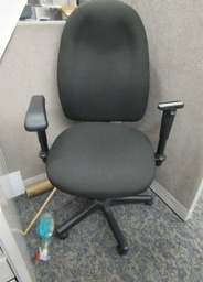 [#B13-3] Ergo Black Task Chair