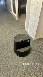 [#I15-35] Black step stool