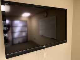 [#H16-40] Television