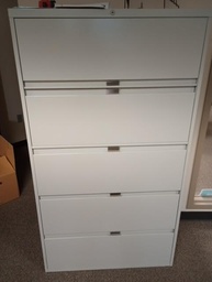 [#D12-41] White 5 drawer file