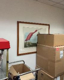 [#J2-19] Artwork - Bird