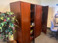 [#D24-44] Wooden Cupboard