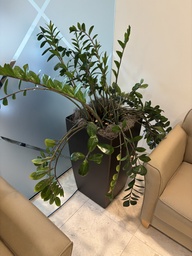 [#J5-2] Potted Plant