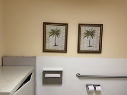 [#J1-71] Palm Tree Pictures