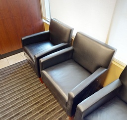 [#B12] Lounge Chairs