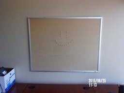 [#F1-22] Cork Board