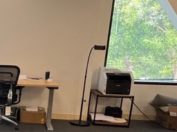 [#I7-24] Black metal floor lamp