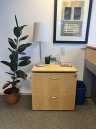 [#D6-3] 2 DR LAT FILE 30W WOOD TEKNION