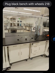 [#E4-218] Black lab bench plug ins wood