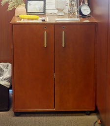 [#D20-13] Mobile 2 door cabinet wood