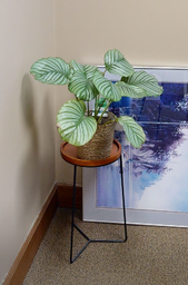 [#C11-18] Round plant table