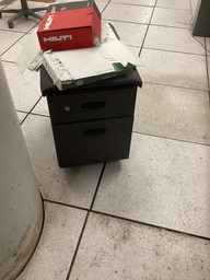 [#D16-19] Mobile ped