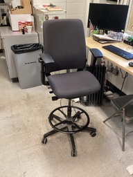 [#B13-04_1] Amia Stool