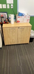 [#D19-51] Storage Cabinet
