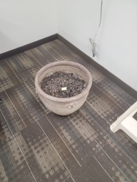 [#J5-432] Flower pot