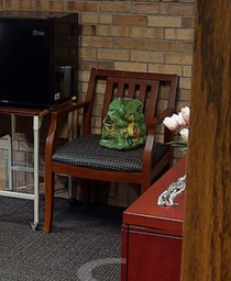 [#B9-13] Guest Chair - Black Patterned