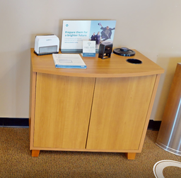 [#D20-9] 2 door wood coffee cabinet