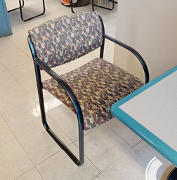 [#B8-9] Paisley guest chair