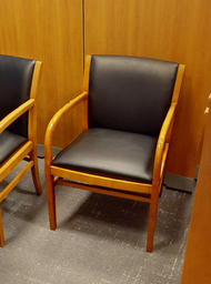 [#B9-5] Guest Chair