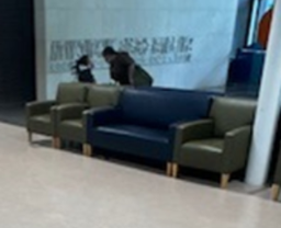 [#B6-3] Two Seaters Sofa