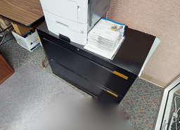 [#D6-11] Filing Cabinet - 2 Drawer