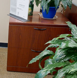 [#D5-10] Credenza