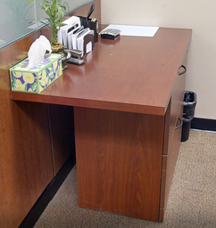 [#D6-11] 2D filing cabinet/ counter desk