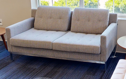 [#B6-8] 2 seat grey couch