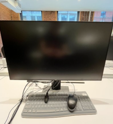 [#H3] Monitors - 24"