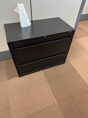[#D6-51] 2 DRAWER FILE
