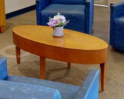 [#C3-12] Oval coffee table