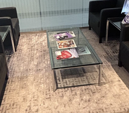 [#C3-1] Glass Coffee Table