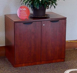 [#D20-37] 2 door medium cabinet wood