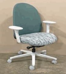 [#B13-39] Tone Task Chair, Mesh Back and Luum Sleeve, 4D Arms, Lumbar Support