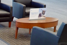 [#C3-9] Coffee table
