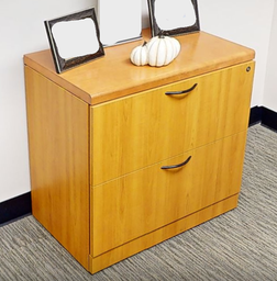 [#D6-8] 2 Drawer Filing