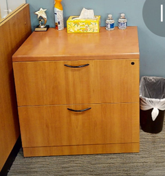 [#D6-10] 2D lateral filing cabinet