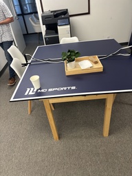 [#L1-33] Makeshift ping pong table