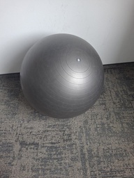 [#L1-13] Gymnastic ball - Grey