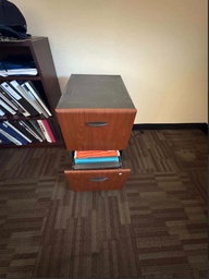 [#D19-9] file cab small 2 drawer