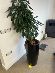 [#J5-25] Big Planter