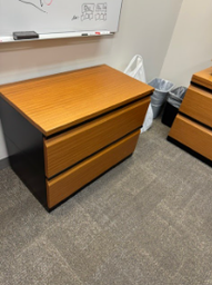 [#D6-100] 2 DRAWER FILE