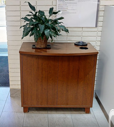[#D20-8] 2 door wood cabinet
