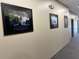 [#J4-17] Pictures/Paintings