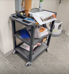 [#C1-11] 3 tier mobile cart